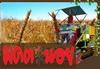 Combine harvester รถเกี่ยวนวดข้าว Rice combine harvester